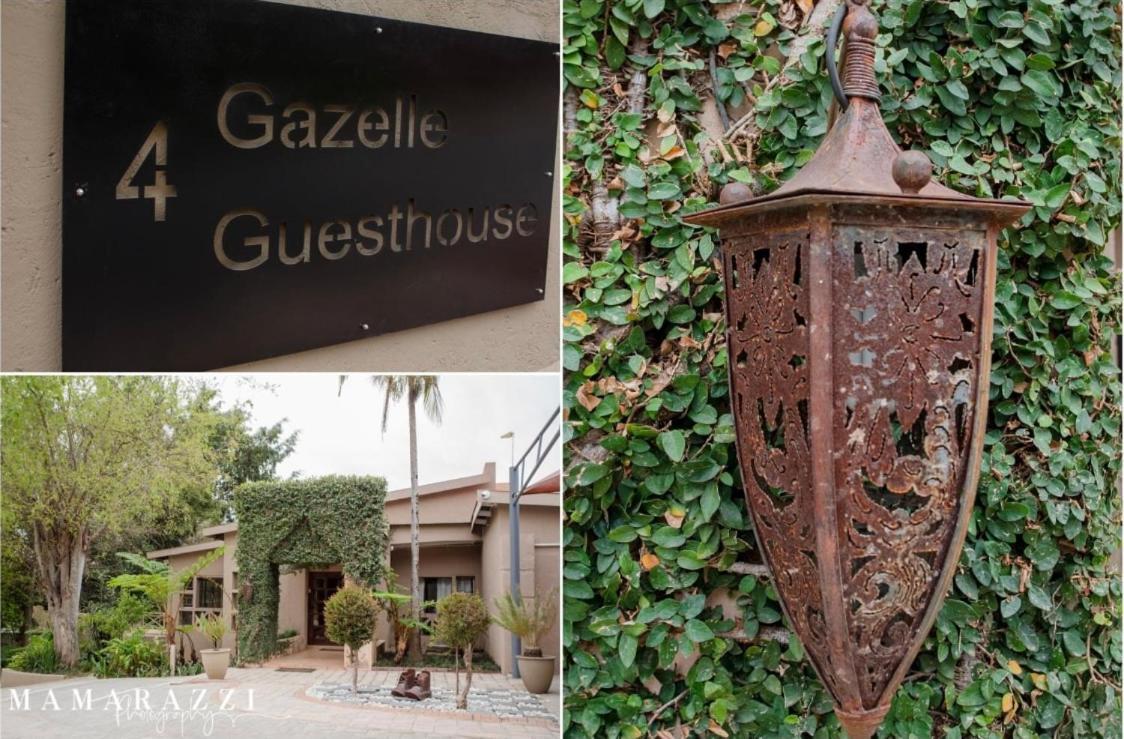 4 Gazelle Guesthouse 넬스프리트 외부 사진