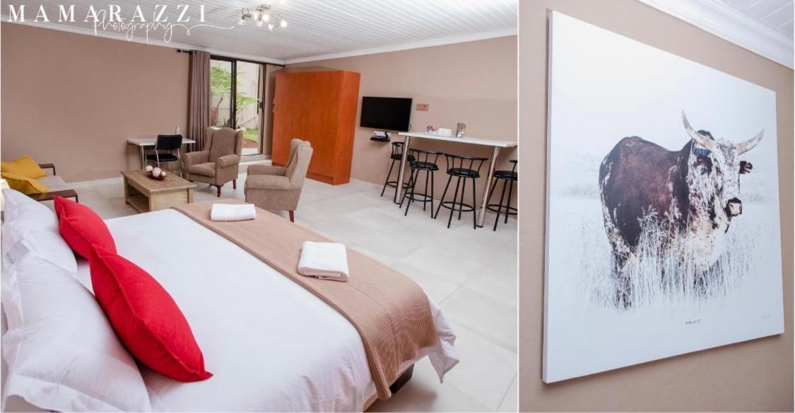 4 Gazelle Guesthouse 넬스프리트 외부 사진