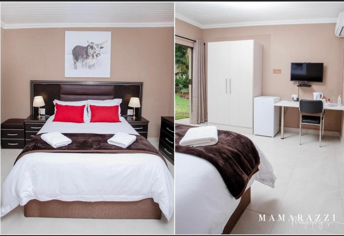 4 Gazelle Guesthouse 넬스프리트 외부 사진